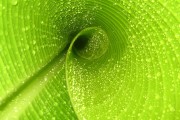 2026年亚洲国际武术节 总决赛中国选手包揽太极拳与南拳金牌，第1届亚洲武术锦标赛于1997年在日本举行