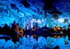2026年亚洲单板滑雪U型场地赛 中国双子星包揽男女金牌，这是中国单板滑雪项目的首枚奥运奖牌,也是中国体育代