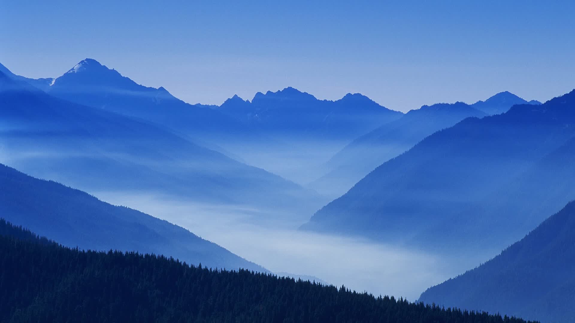 世界举重青年联赛选手科研训练结合示范营第二期招生，举重世界比赛